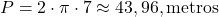  P = 2 \cdot \pi \cdot 7 \approx 43,96 , \text{metros} 